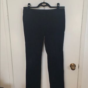 Loft Velvet Dress Pants